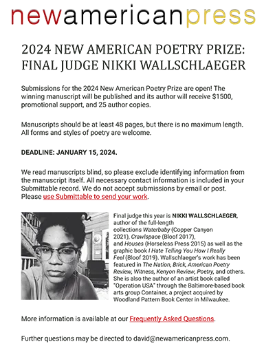 Screenshot of the 2024 New American Poetry Prize flyer