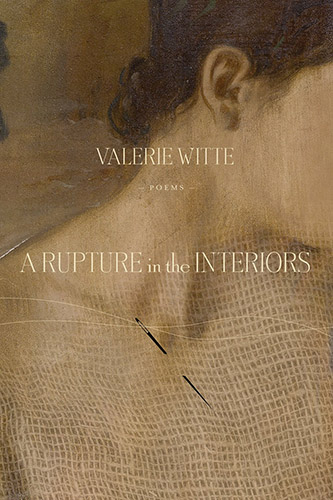 A Rupture in the Interiors by Valerie Witte book cover image