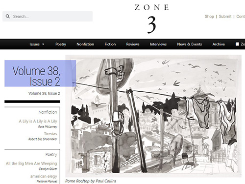 Zone 3 Issue 38.2 cover image