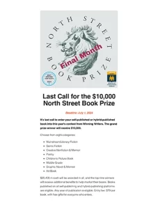 Screenshot of the first page of Winning Writers 10th annual North Street Book Prize flyer