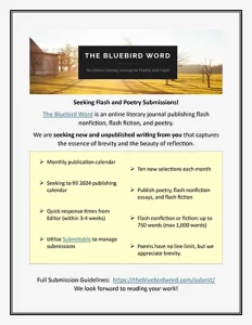Screenshot of The Bluebird Word call for new flash writing flyer