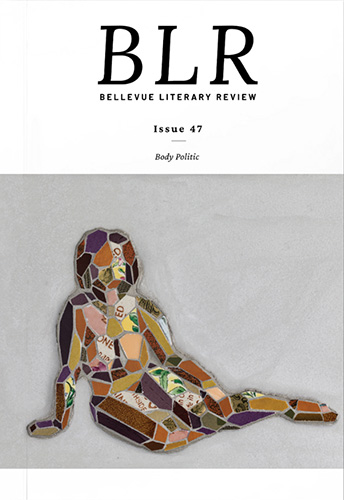 Bellevue Literary Review Issue 47 cover image