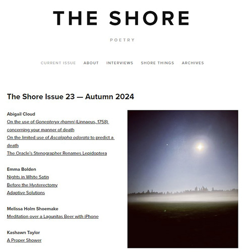 The Shore Issue 23 cover image