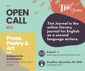 Tint Journal Issue 13 call for submissions banner