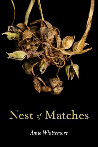 Nest of Matches by Amie Whittemore book cover image