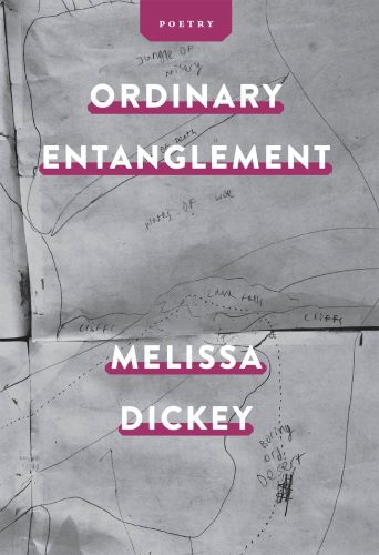 Ordinary Entanglement by Melissa Dickey book cover image